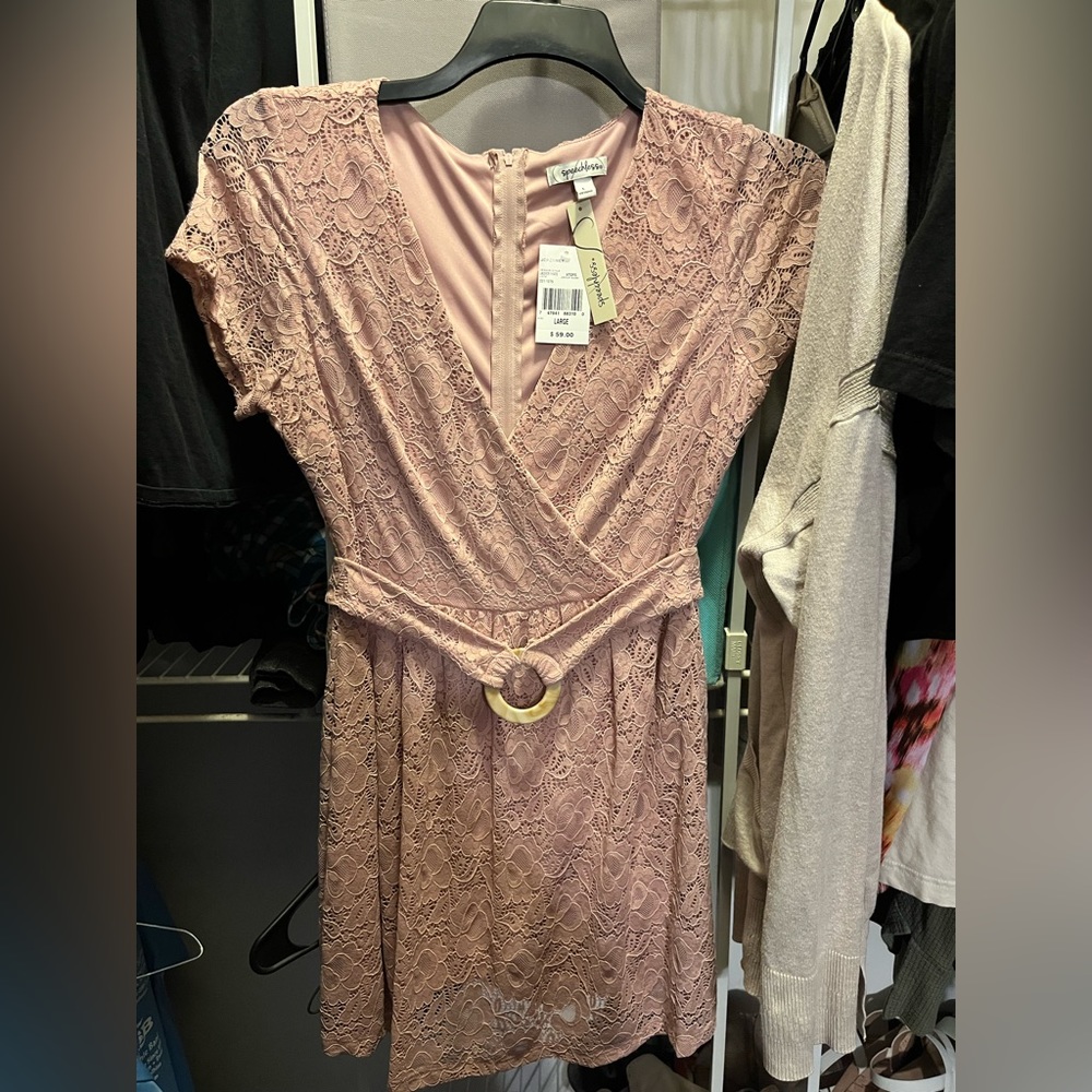 Blush Lacey Dress